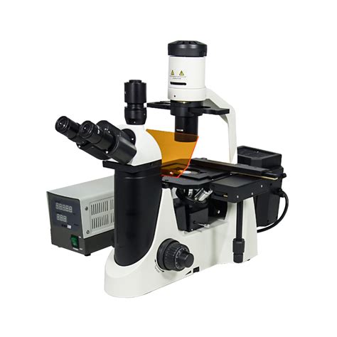 100X-400X Inverted Fluorescence Microscope, Trinocular, Dual Light HM