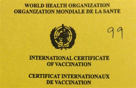 Yellow Fever Vaccination Requirements from India - Chalo Africa