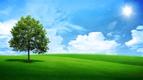 🔥 Download Natural Nature Oak Outdoor Panorama Pasture Season Sky ...