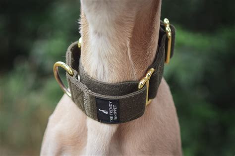 Green Martingale Whippet Greyhound Collar | Italian Lurcher