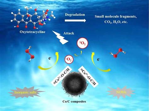 Singlet oxygen selectively degrades oxytetracycline in fenton-like oxidation