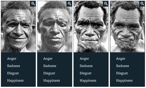 Facial Expression | Universal Emotions | Paul Ekman Group