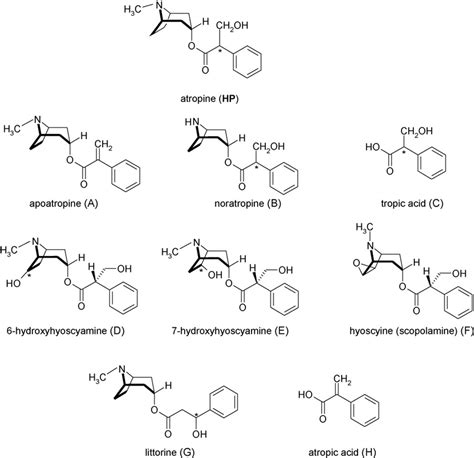 Structural formulae of atropine and related substances. | Download ...