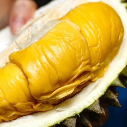 Chinese buy US$15 million worth of Malaysian Musang King durian in one-hour online sale | South ...