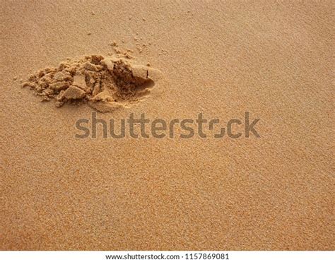 Human Footprint Sand On Beach Stock Photo 1157869081 | Shutterstock