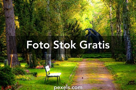 200.000+ Foto Latar Belakang Alam Terbaik · Unduh Gratis 100% · Foto ...