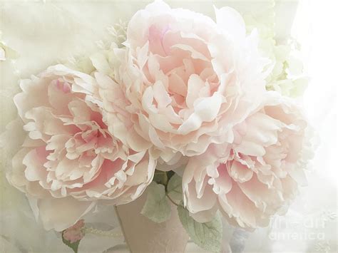 Shabby Chic Romantic Pastel Pink Peonies Floral Art - Pastel Blush Pink ...