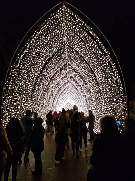 Christmas Lights at the Edinburgh Botanic Gardens 2018 | Edinburgh christmas, Edinburgh city ...