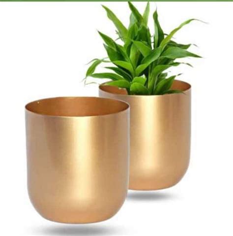 Metal pot with gold finish