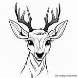Deer Head Coloring Pages  Free & Printable sketch template