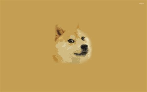 Doge Meme Wallpaper - WallpaperSafari