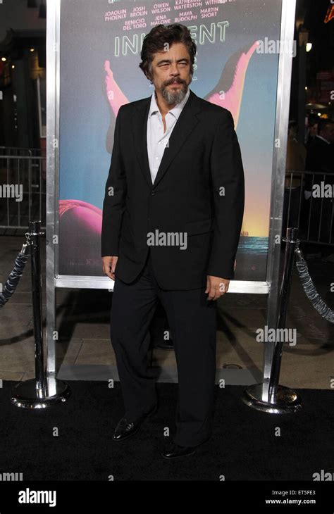 Los Angeles premiere of 'Inherent Vice' - Arrivals Featuring: Benicio ...