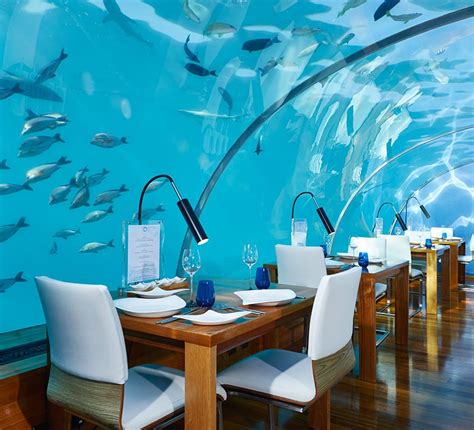 Ithaa Undersea Restaurant | Conrad Maldives Rangali Island Dining