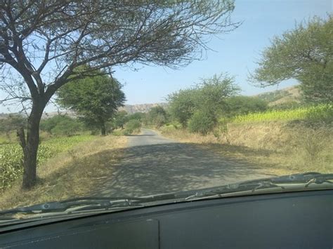 Bhimashankar Wildlife Sanctuary (Pune) - 2020 All You Need to Know ...