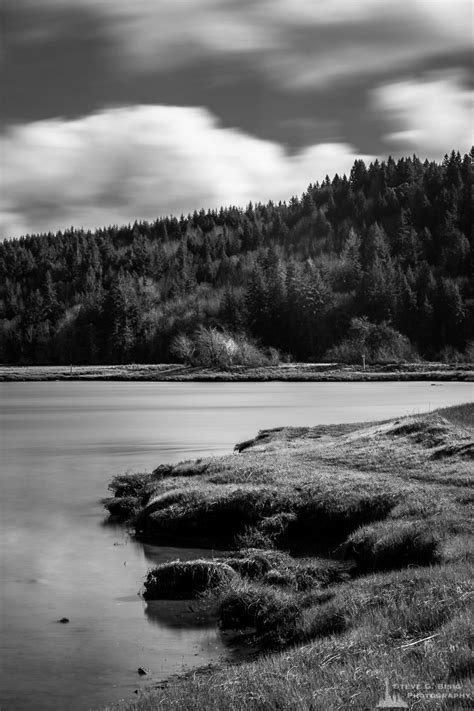 Sunny Winter Day on Oyster Bay No. 1, Thurston County, Washington, 2016