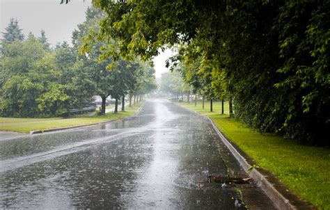 Photo Wallpaper City, Road, Trees, Rainy Day - Monsoon Season In ...