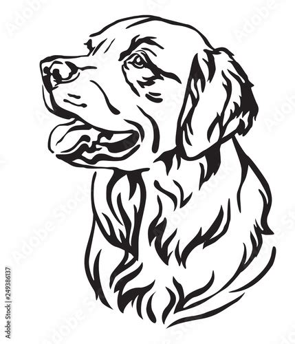 Decorative portrait of Dog Golden Retriever vector illustration - Buy this stock vector and ...