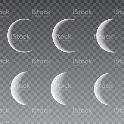 White Moon Phases On A Transparent Background Vector Illustration Stock ...