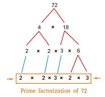 What is a Prime Factorization ? Definition and Examples