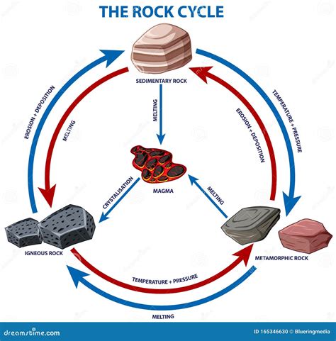 Diagram showing rock cycle stock vector. Illustration of learning ...