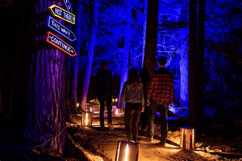 Vallea Lumina | Multimedia Night Walk in Whistler