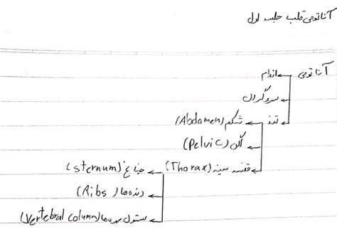 دانلود فایل خلاصه آناتومی قلب PDF (دانشگاه علوم پزشکی آزاد تهران) | فاپول