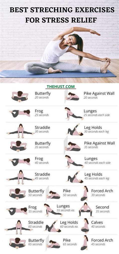 Stretching Exercises Worksheet