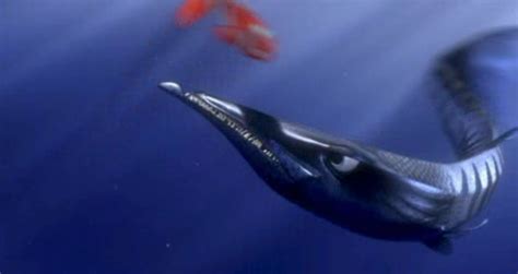 barracuda | Finding Nemo Costumes | Pinterest | Finding Nemo, Finding ...