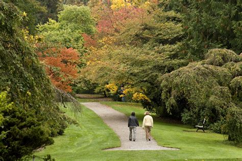 Seasonal Highlights | University of Washington Botanic Gardens