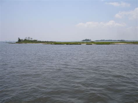 Crabbing in the Chesapeake Bay Chesapeake Bay, Pretty Places, Beach, Water, Outdoor, Gripe Water ...