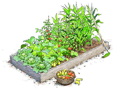 Vegetable Garden Layout Raised Beds - all about hobby