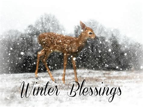 Winter Blessings Photograph by Lisa Hurylovich | Fine Art America