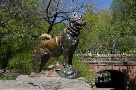 Balto, the Dog Sculpture Hero of Central Park – Dorothy Parker Society