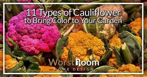 11 Types of Cauliflower to Bring Color to Your Garden - Worst Room