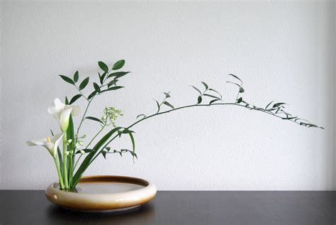 How to decorate a house with the help of ikebana - Saholany.com