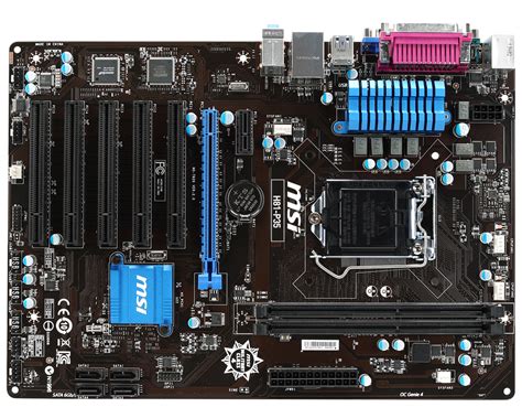 Motherboard Intel LGA 1155 Asus LGA 1150 - intel png download - 1000*800 - Free Transparent ...