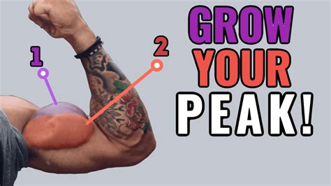 Peak Workout (Long Head Bicep Exercises) Size & Defenition