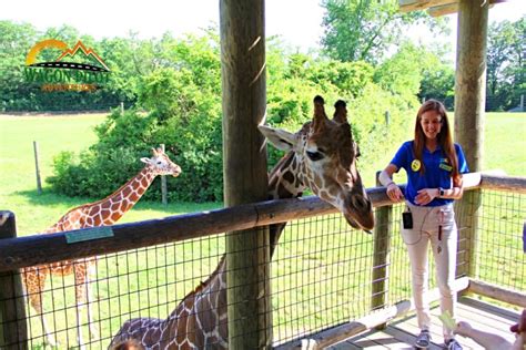 10 Fun and Unique Things to do at the Fort Wayne Children's Zoo