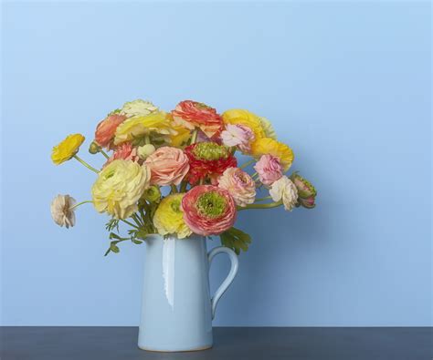 How to choose the right vase for your cut flowers | Homes & Gardens