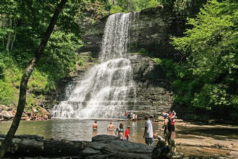 Outdoors in the NRV Cascade Falls | Virginia's New River Valley