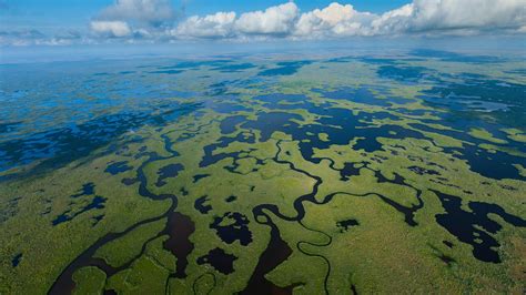 Wetland aerial view in Everglades National Park, Florida, USA | Windows ...