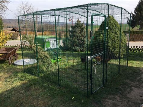 Walk in Chicken Run | Large Outdoor Chicken Enclosure