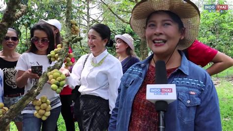 Durian Farm Tour at Chanthaburi! - YouTube