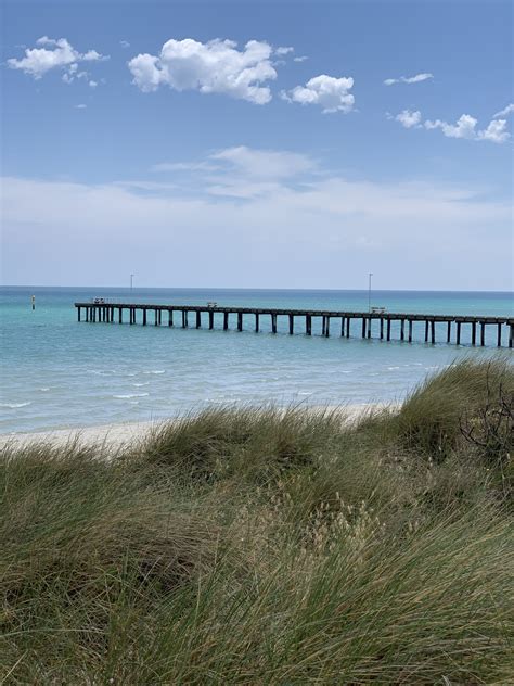 Seaford Foreshore Reserve, Seaford - Eco Explorers