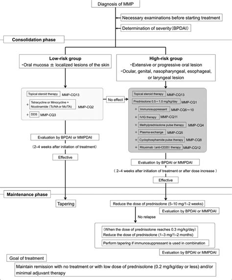 Mucous membrane pemphigoid (MMP) treatment algorithm. BPDAI, Bullous... | Download Scientific ...