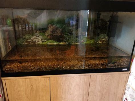 Fluval 200l fish tank aquarium setup | in Chipping Sodbury, Bristol | Gumtree