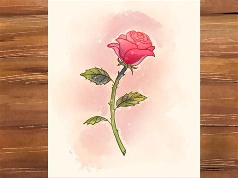 3 Ways to Draw a Rose - wikiHow