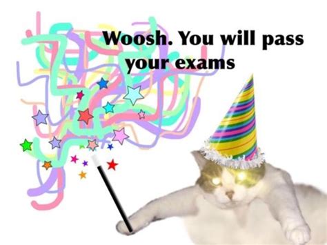 Whoosh. you will pass your exams | Whoosh / вжух | Know Your Meme