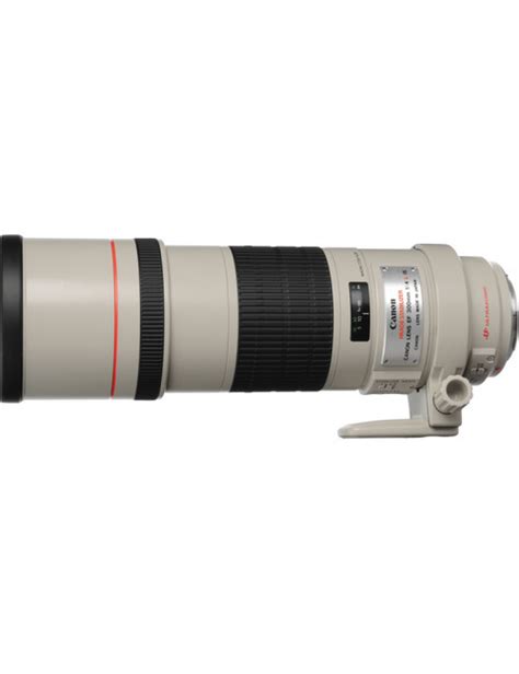 Rent a Canon EF 300mm f/4L IS from Pro Photo Rental