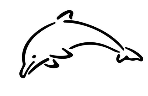 Dolphin Outline Template